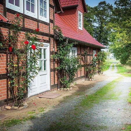 Landhaus Elbeflair bei Dömitz Lenzerwische Exterior foto
