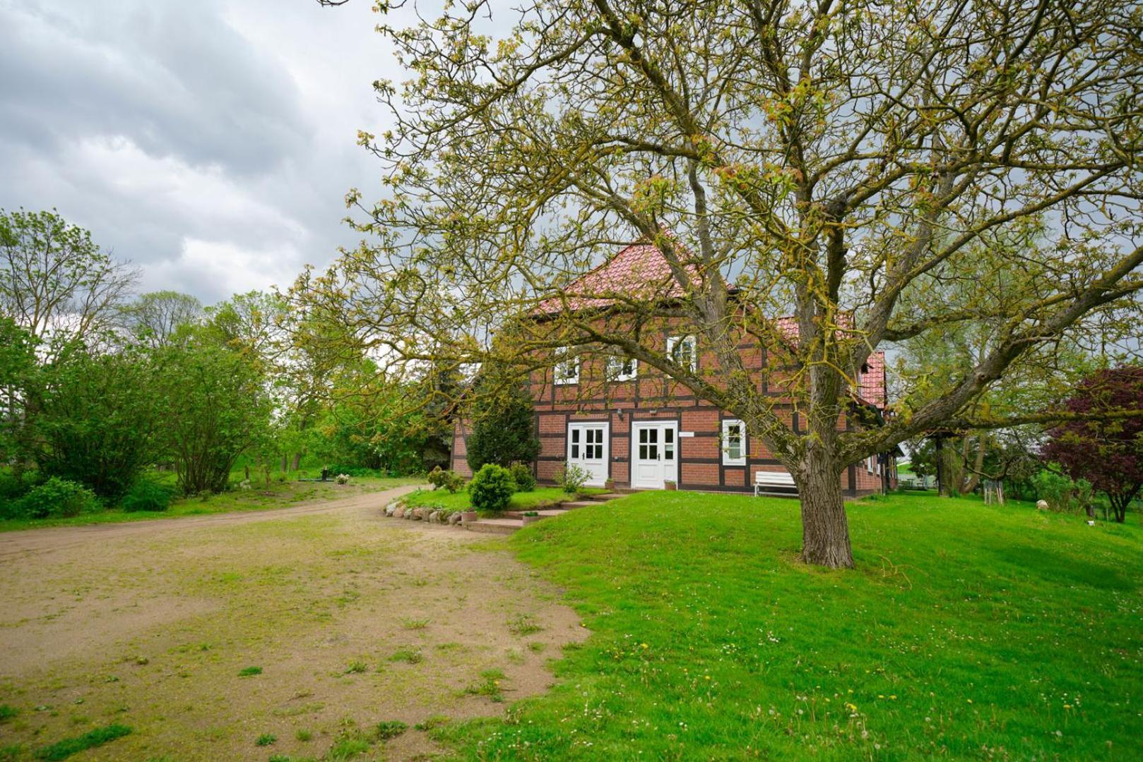 Landhaus Elbeflair bei Dömitz Lenzerwische Exterior foto