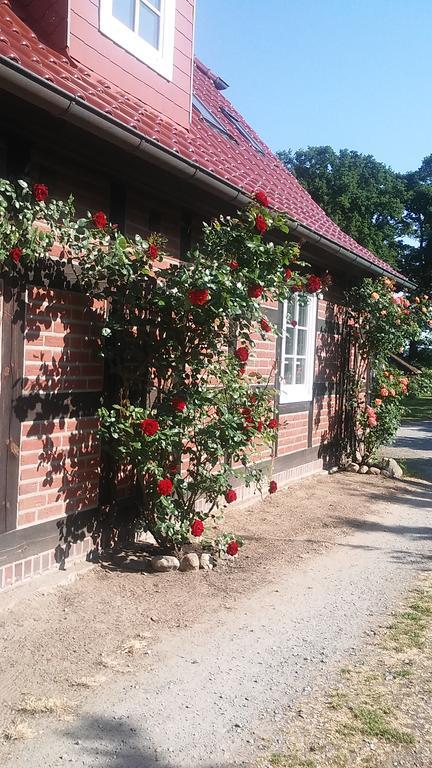 Landhaus Elbeflair bei Dömitz Lenzerwische Exterior foto